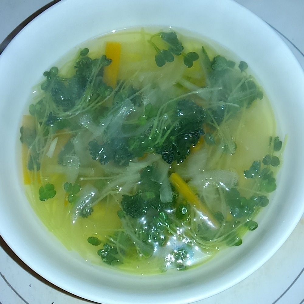 温か うまい カイワレ大根のスープ レシピ 簡単 美味しいーパスタレシピ